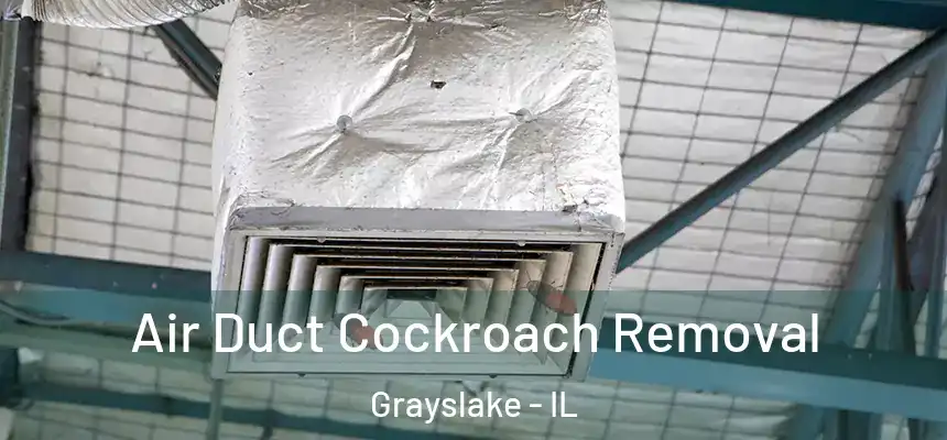  Air Duct Cockroach Removal Grayslake - IL