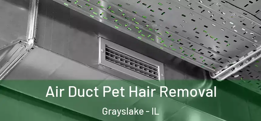  Air Duct Pet Hair Removal Grayslake - IL