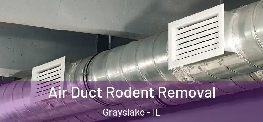  Air Duct Rodent Removal Grayslake - IL