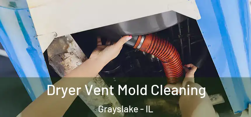  Dryer Vent Mold Cleaning Grayslake - IL