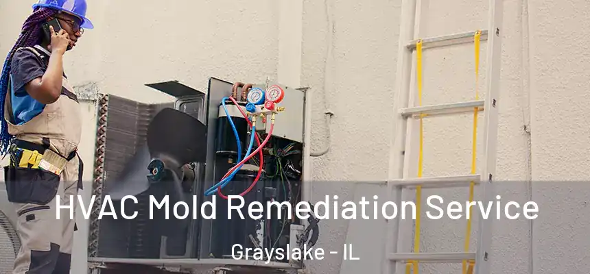  HVAC Mold Remediation Service Grayslake - IL
