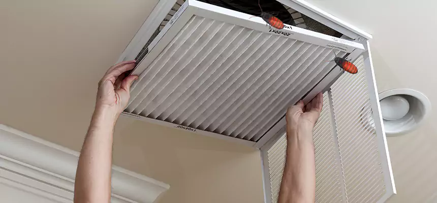 Preventive Cockroach-Proofing for Ducts in Grayslake