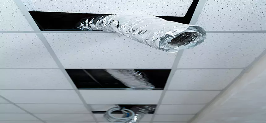 Our Air Duct Pet Hair Removal Services in Grayslake, IL