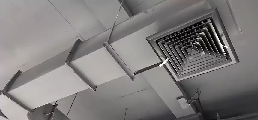 Restorative Allergy Relief Vent Cleaning – Coil, Blower & Housing Detail in Grayslake