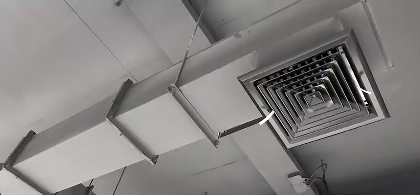 Our Rodent Droppings In Vents Services in Grayslake, IL