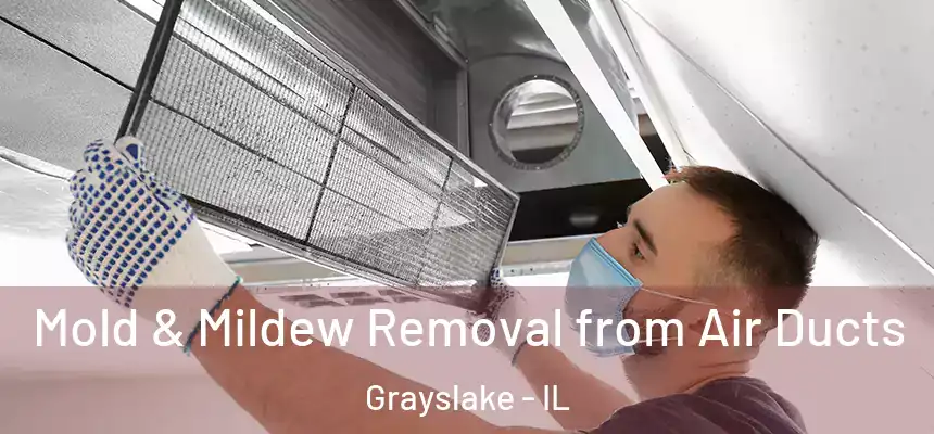  Mold & Mildew Removal from Air Ducts Grayslake - IL