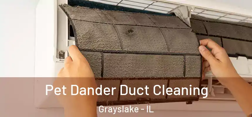  Pet Dander Duct Cleaning Grayslake - IL