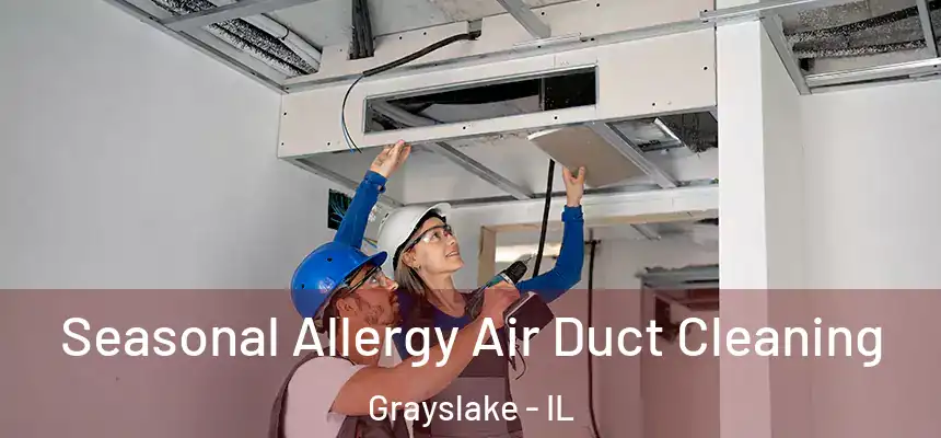  Seasonal Allergy Air Duct Cleaning Grayslake - IL
