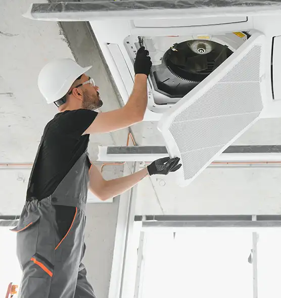 About Air Duct Rodent Removal in Grayslake, IL