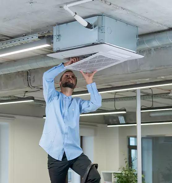 Advanced Rodent Droppings In Vents in Grayslake, IL