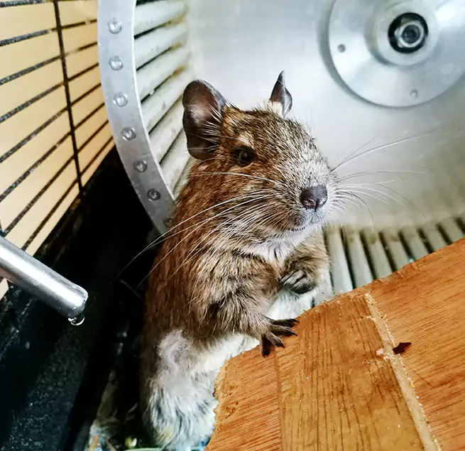 Why Homeowners & Businesses Trust Us Grayslake, IL