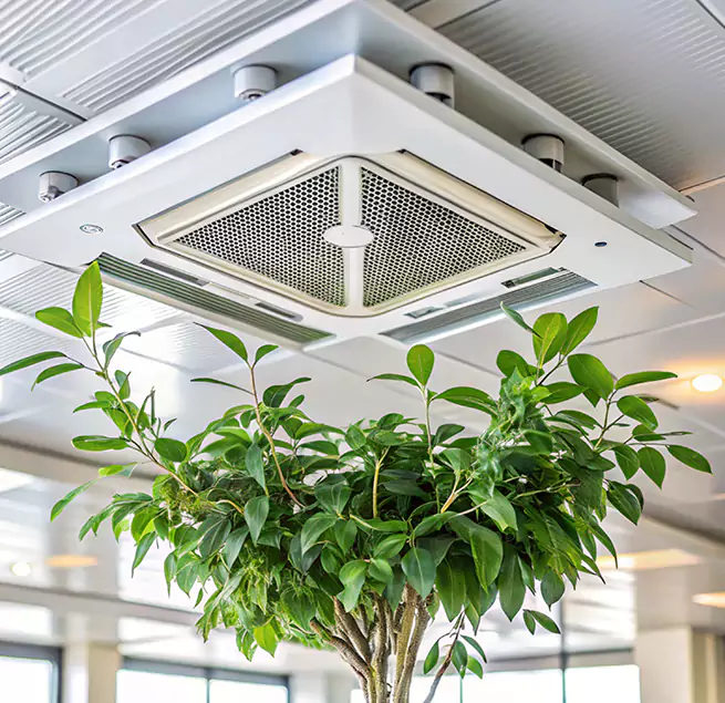 Why Homeowners & Businesses Trust Us in Grayslake, IL